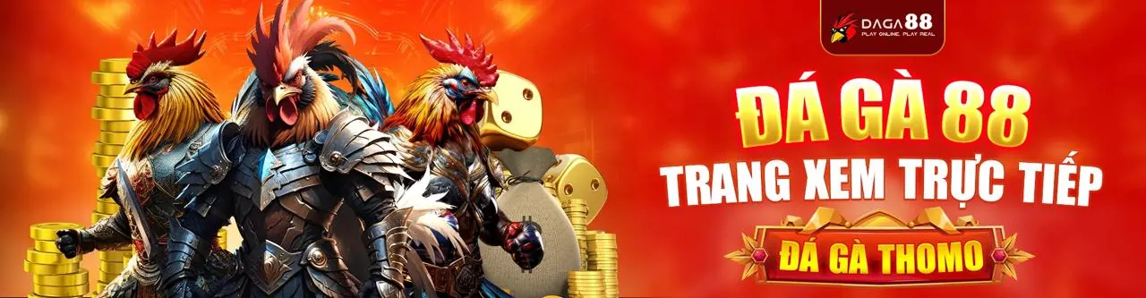 Hình ảnh chính về cách tối đa hóa tiền thưởng tại vipnhat