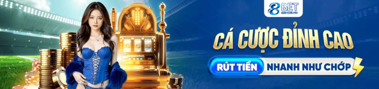 Hình ảnh minh họa bảo mật tài khoản và quyền riêng tư trên nền tảng vipnhat